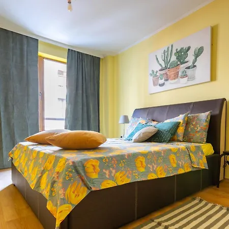 Cedar Iii 2 Bdrm Flat B12 * בנסקו